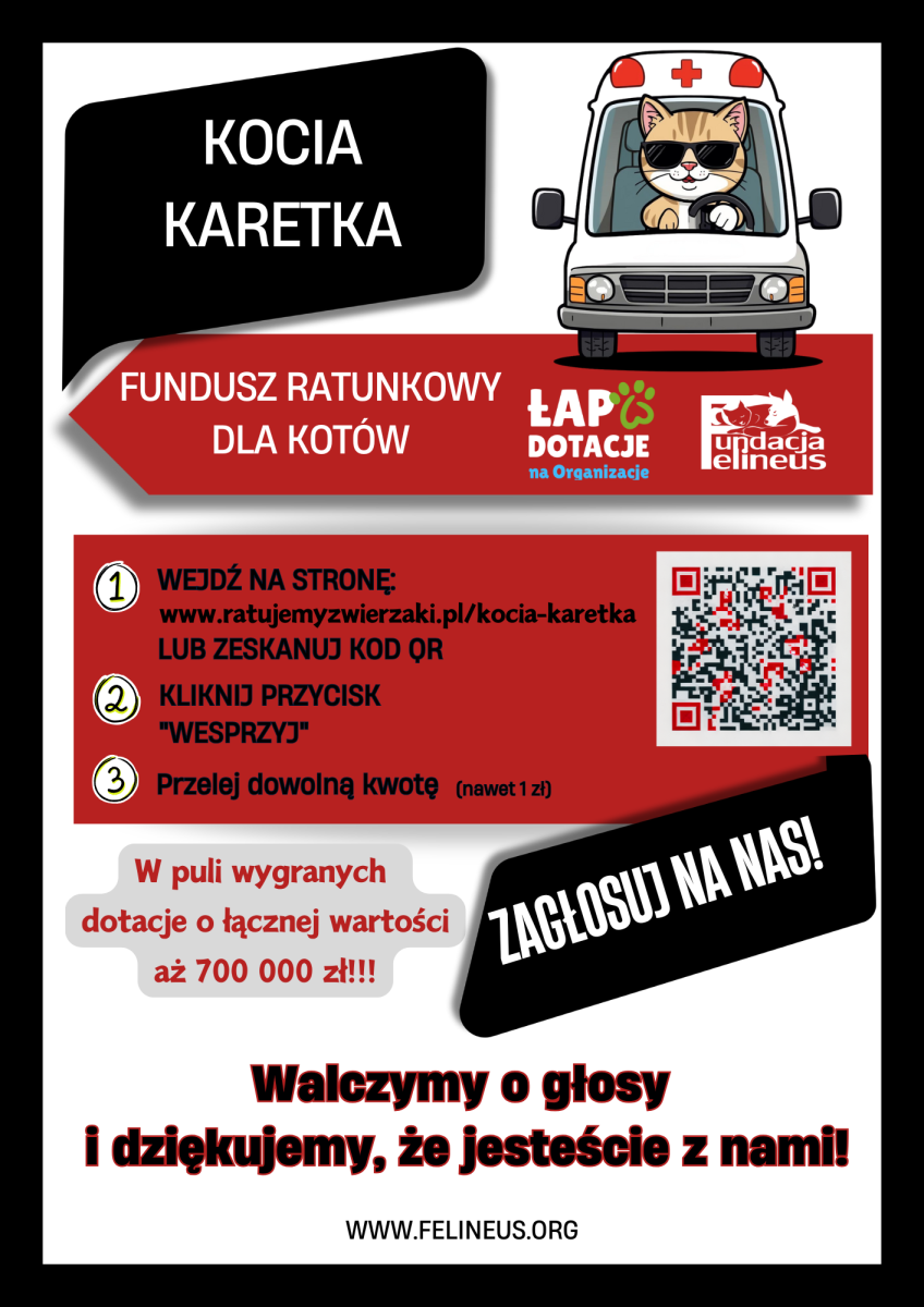 plakat promujący udział Fundacji Felineus w konkursie - Łap okazję na organizację
